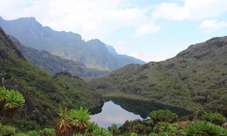 4-Day Rwenzori Mountains Waterfalls Trek - Uganda Hiking Safari