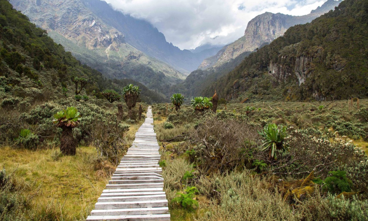 How to Get to Mount Rwenzori - Road & Air Travel Guide