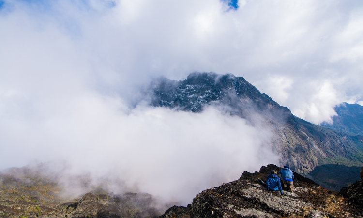Mount Rwenzori National Park Rules & Regulations